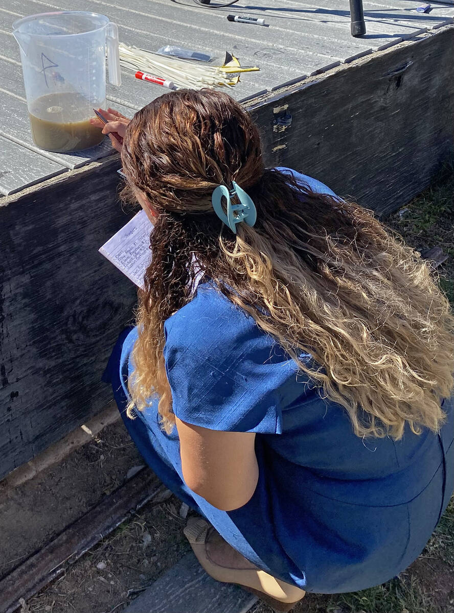 The Grape Stomp competition may be a lot of fun but it's serious business for the judges, who c ...