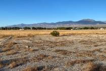 Nye County owns a large swathe of vacant land across the street from Ian Deutch Memorial Park a ...
