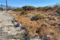 The old Binion Ranch, sandwiched between Basin Avenue to the north and Wilson Road to the south ...