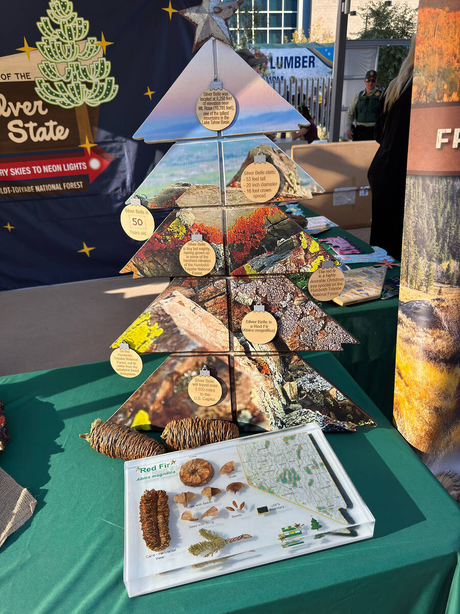 The U.S. Forest Service displayed a selection of the 23,000 ornaments and facts about 'Silver B ...