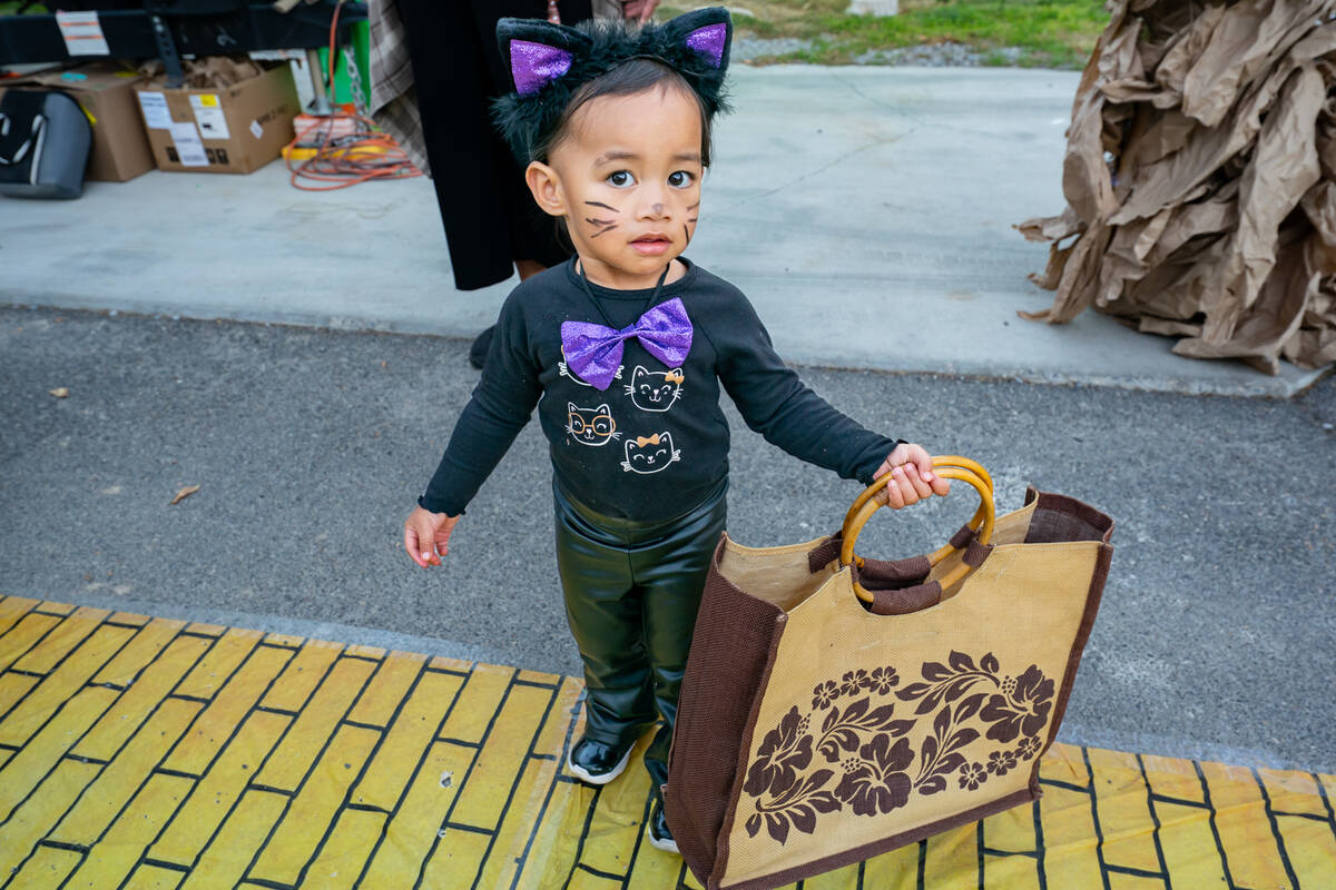 The Lakeside RV Park trunk-or-treat location on Halloween night was popular and approximately 1 ...