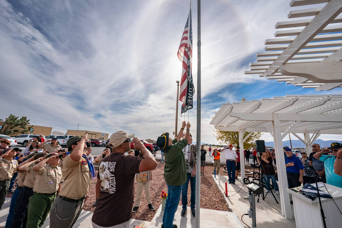 As the new banners are hoisted up the flag pole, attendees of the VFW's Veterans Day Ceremony s ...