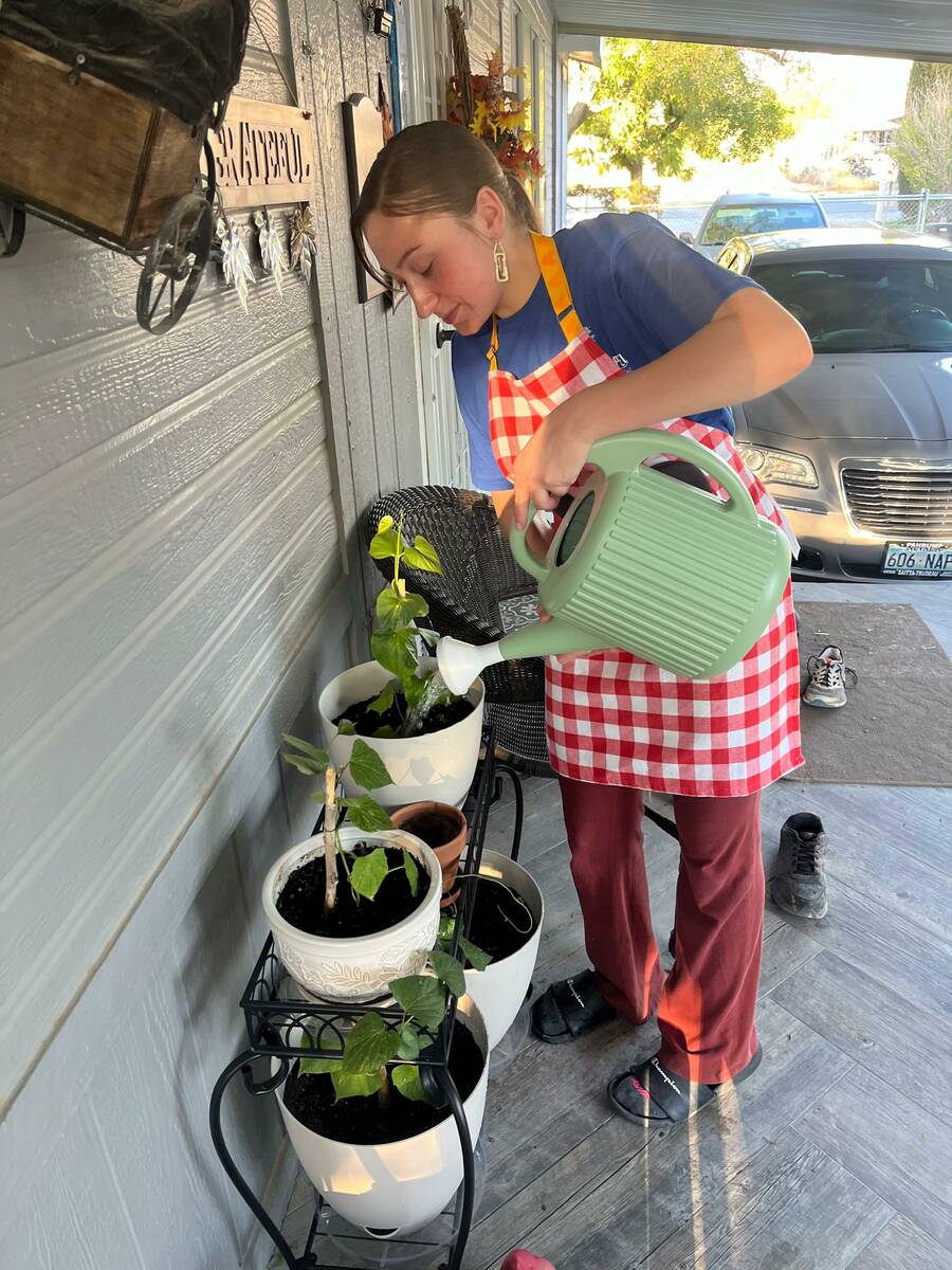 Kaydance Hagerstrand’s church family at Calvary Chapel Pahrump Valley started a GiveSendGo ca ...