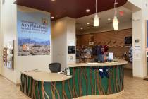 “Join us in the Visitor Center to help design feathers to add to our life-size turkey vulture ...