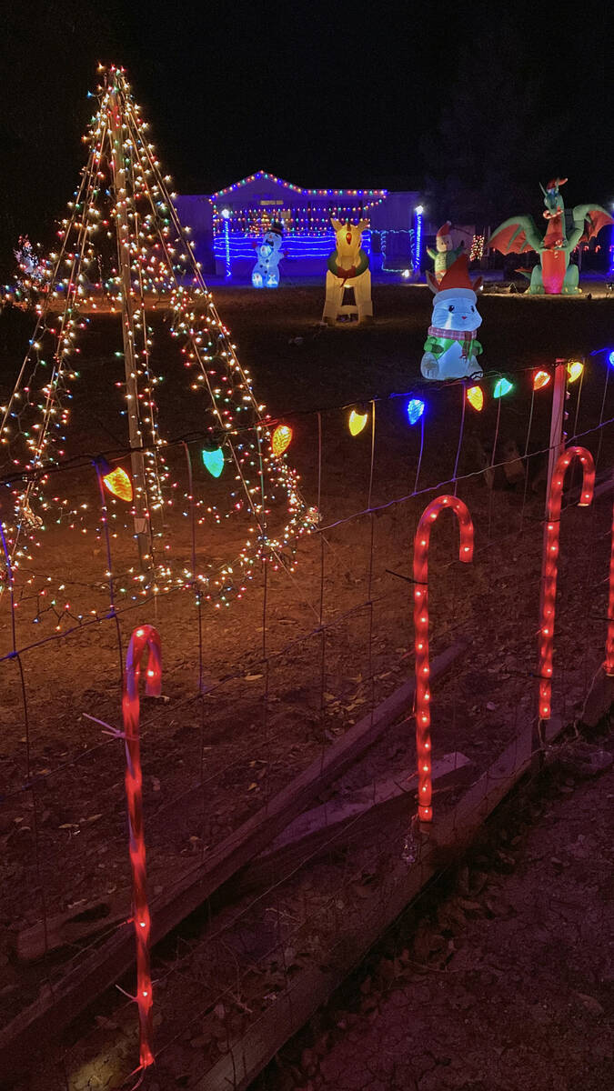 A local home has its fence lined with glowing candy canes and multi-colored lights and its yard ...