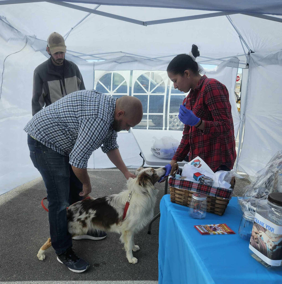 Cats and dogs can be microchipped at the Dawg House Rescuers clinic for $35, which includes a l ...