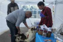 Cats and dogs can be microchipped at the Dawg House Rescuers clinic for $35, which includes a l ...