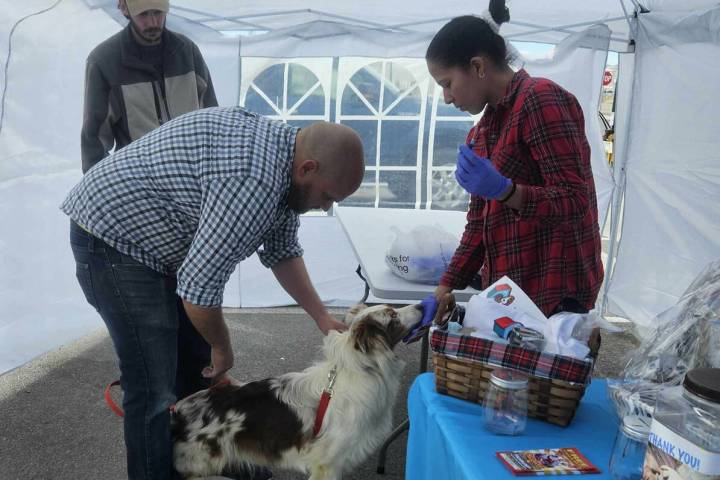 Cats and dogs can be microchipped at the Dawg House Rescuers clinic for $35, which includes a l ...