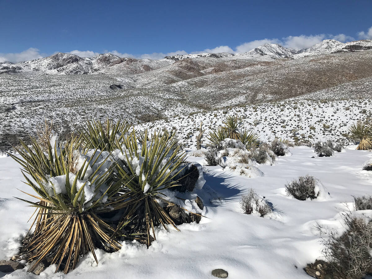 Nevada is a vast and diverse state, with deserts, mountains, valleys and more all offering natu ...