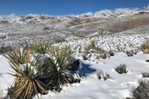Nevada is a vast and diverse state, with deserts, mountains, valleys and more all offering natu ...