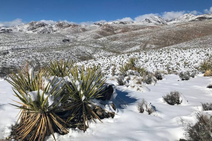 Nevada is a vast and diverse state, with deserts, mountains, valleys and more all offering natu ...