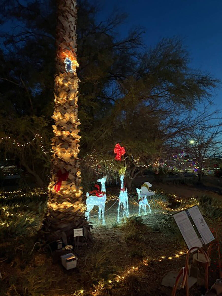 Residents and visitors can find all sorts of plants and trees that thrive in the desert at the ...