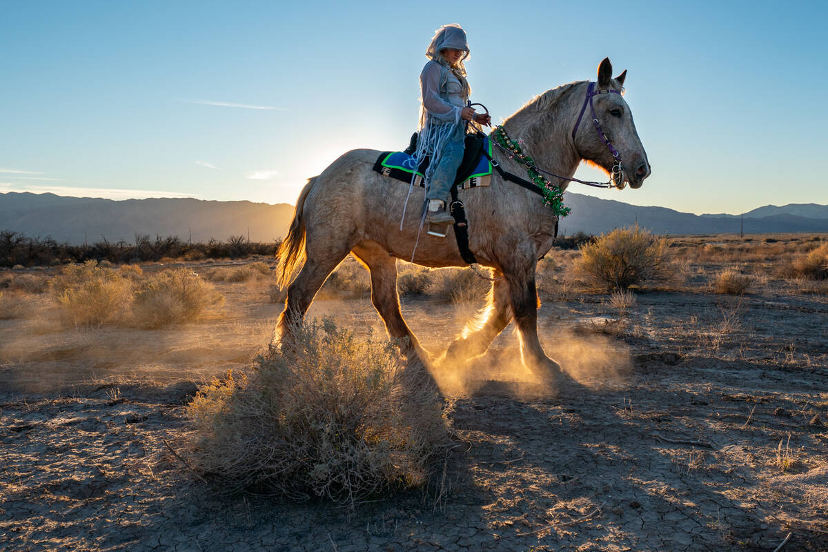 Nevada Sundance Ranch originally started as an LLC in 2020 but later transitioned to a nonprofi ...