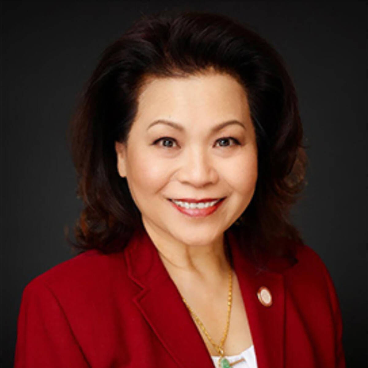 Vida Lin is the president and founder of the Asian Community Development Council (ACDC). (Asian ...