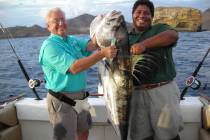 A Nicaragua Rooster Fish, caught on a recent fishing adventure on the Caribbean in Central Amer ...