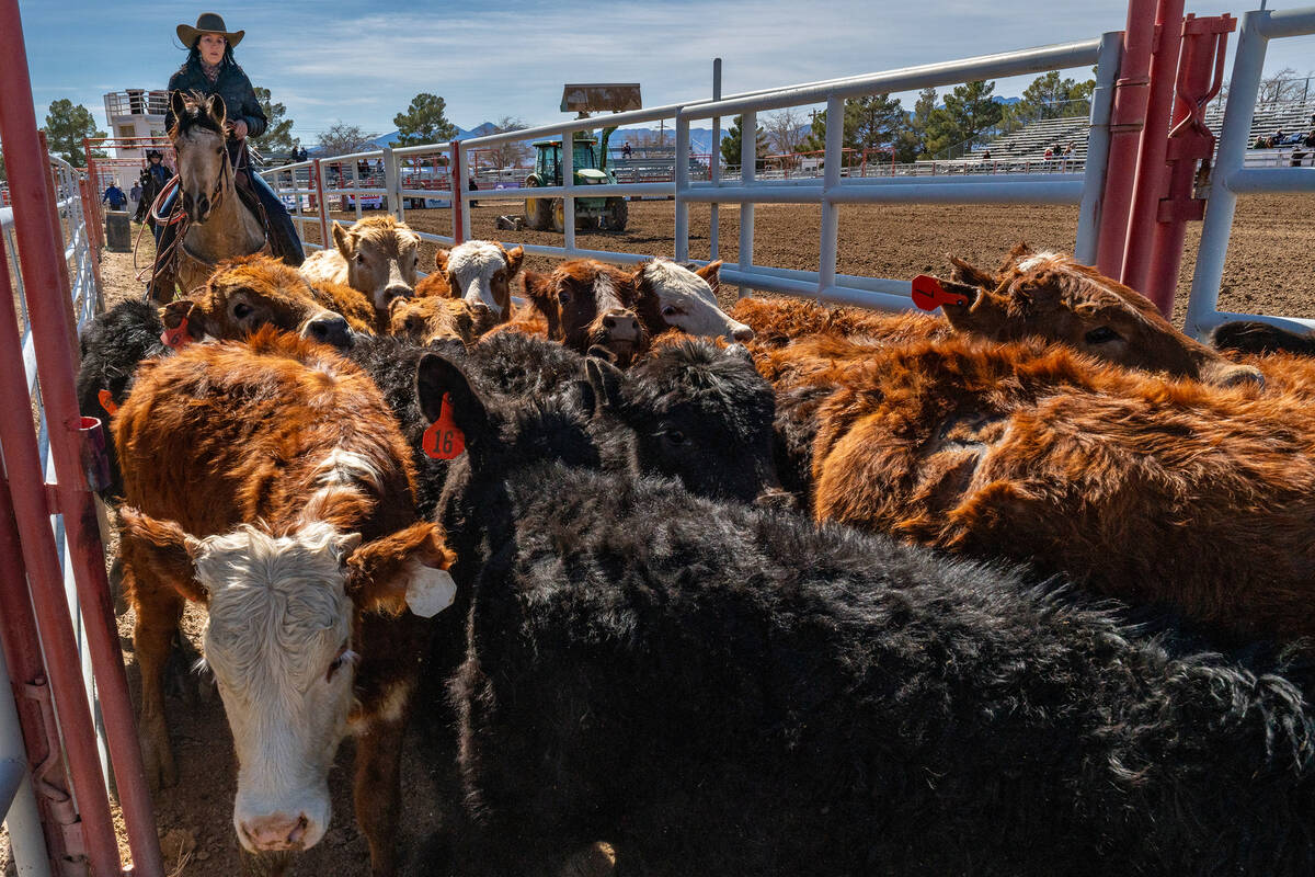 The 2026 Pahrump High School Rodeo is scheduled for the weekend of Feb. 6-8 at the McCullough R ...