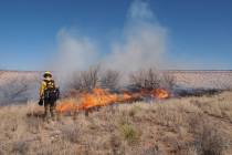 The Humboldt-Toiyabe National Forest announced that it is planning prescribed fire operations n ...