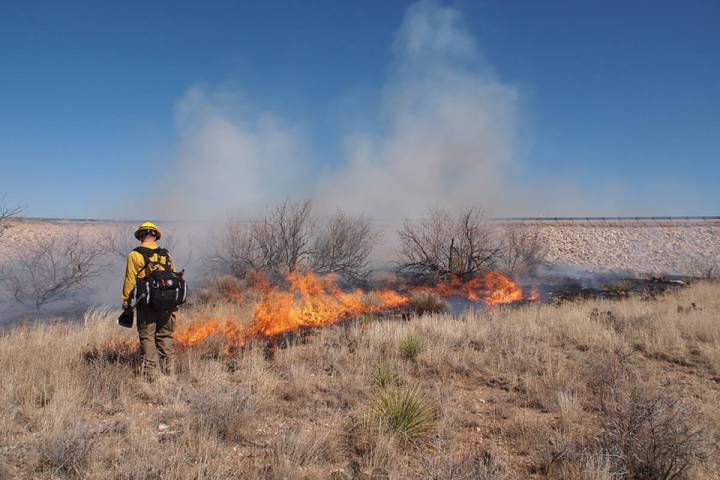 The Humboldt-Toiyabe National Forest announced that it is planning prescribed fire operations n ...