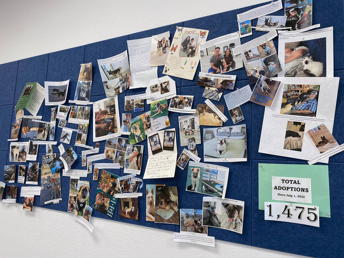 There have been more than 1,400 adoptions since Nye County took over operation of the animal sh ...
