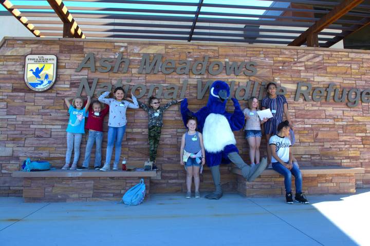 Junior Refuge Ranger Day will return to Ash Meadows National Wildlife Refuge on Saturday, Feb. ...