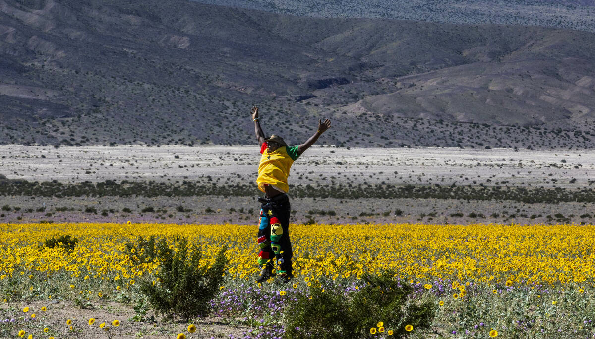 Wilfred Ofosu of Ghana leaps for a photo amongst blooms of desert gold, desert sand-verbena blo ...