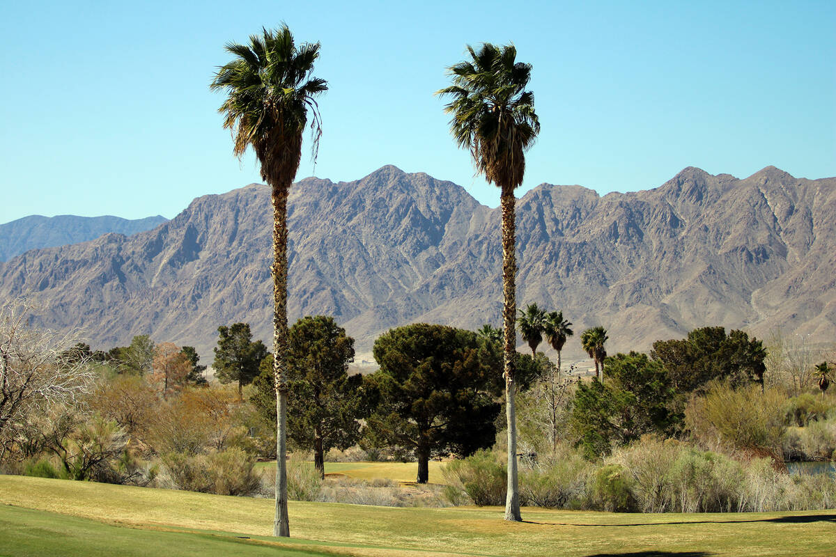 Boulder Creek Golf Club located in Boulder City, NV. (Jacob Powers/Pahrump Valley Times)
