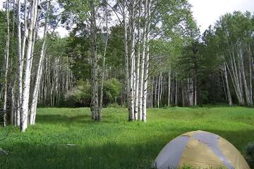 High school students ages 14 to 18 can enter an essay competition to win funds for this year's ...