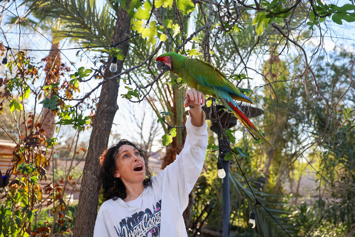 Heidi Fleiss reaches up so that a macaw named Gin can perch onto her hand in Fleiss’ bac ...