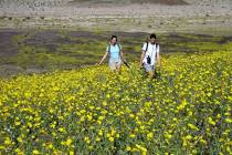 More than 1.32 million people visited Death Valley National Park last year. (NPS/nps.gov)