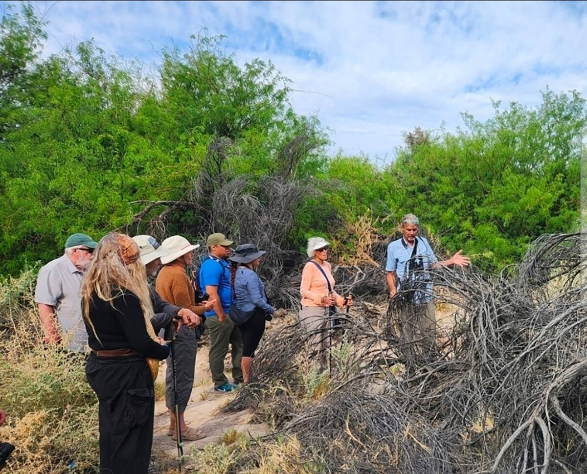 Local bird expert, Len Warren, also known as the “Bird Man of Amargosa,” will lead the bird ...