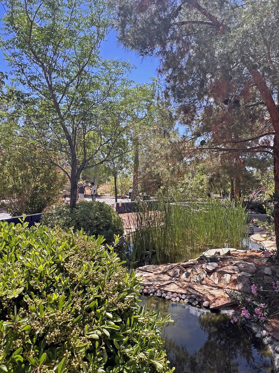 The Pahrump Valley may be a desert but that doesn't mean that plant-filled yards are a no-go. R ...