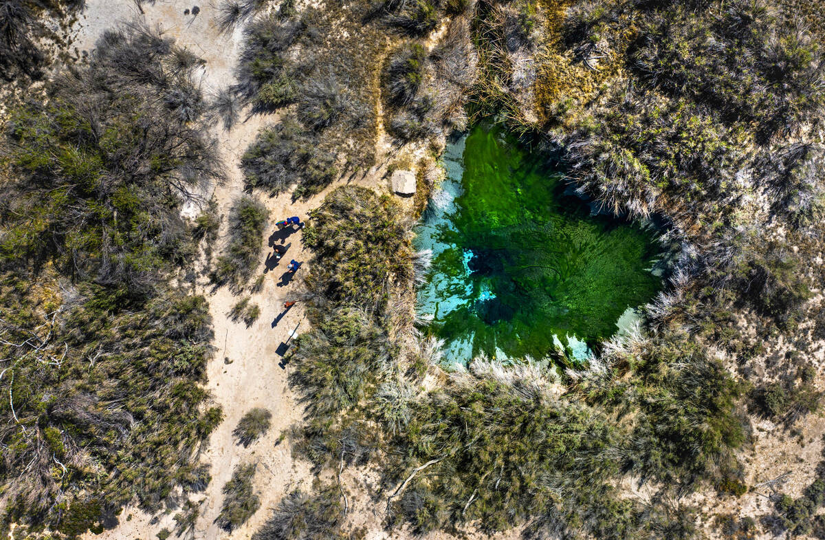 Visitors walk next to Fairbanks Spring within the Ash Meadows National Wildlife Refuge on Wedne ...
