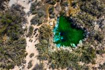 Visitors walk next to Fairbanks Spring within the Ash Meadows National Wildlife Refuge on Wedne ...