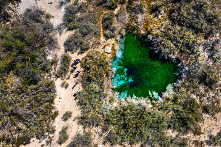 Visitors walk next to Fairbanks Spring within the Ash Meadows National Wildlife Refuge on Wedne ...