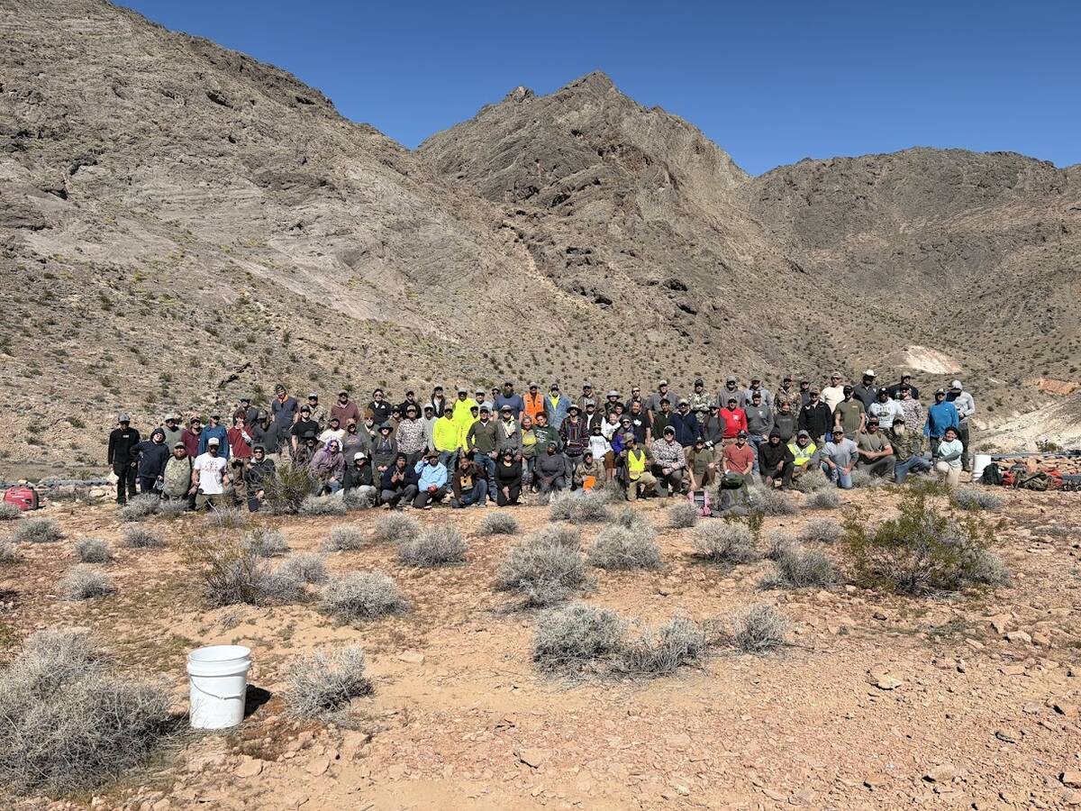 Many wildlife conservation groups gathered together to build a "guzzler," to supply drinking wa ...