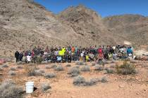 Many wildlife conservation groups gathered together to build a "guzzler," to supply drinking wa ...