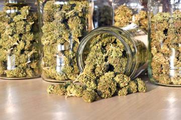 Nye County currently has two recreational cannabis dispensaries but with the population now ove ...