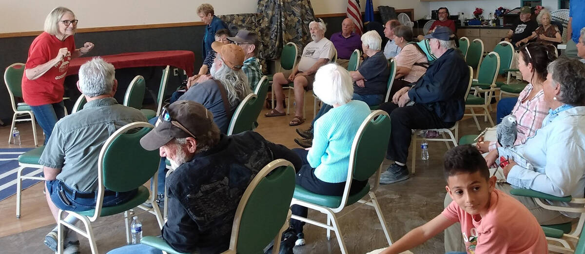 The Earth Day Sandy Valley Nevada Micro*Fest is returning this year on Wednesday, April 22. (Ma ...