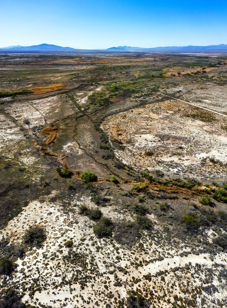 Ash Meadows National Wildlife Refuge stretches into the distance Wednesday, April 1, 2026, in A ...