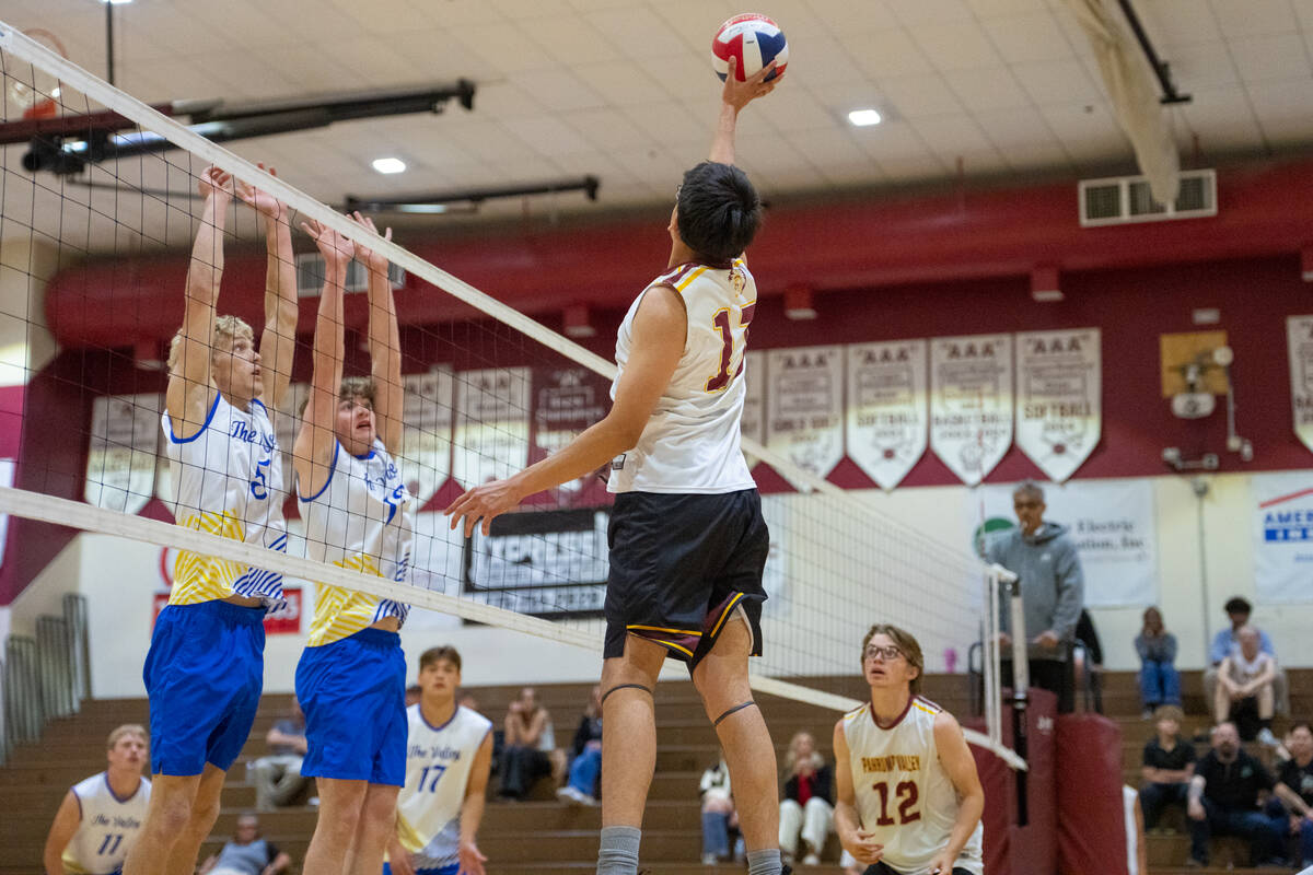 Pahrump Valley High School senior Andy Williams puts a soft return on the ball during the Troja ...
