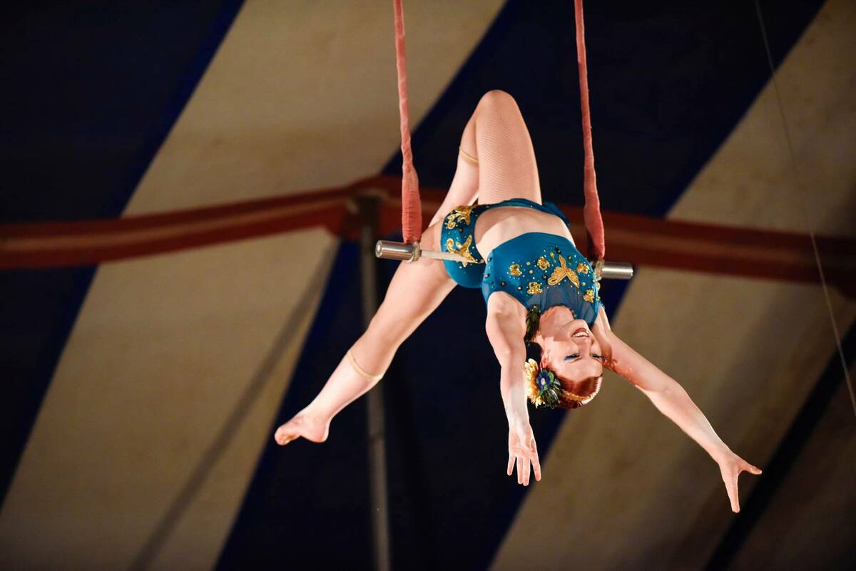 Trapeze artists are true athletes and are only one of the exciting circus acts you will see at ...