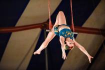Trapeze artists are true athletes and are only one of the exciting circus acts you will see at ...