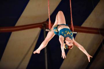 Trapeze artists are true athletes and are only one of the exciting circus acts you will see at ...