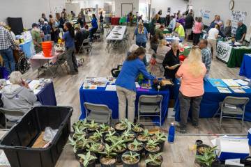 The 23rd Annual Earth/Arbor Day Celebration had the Bob Ruud Community Center abuzz with activi ...