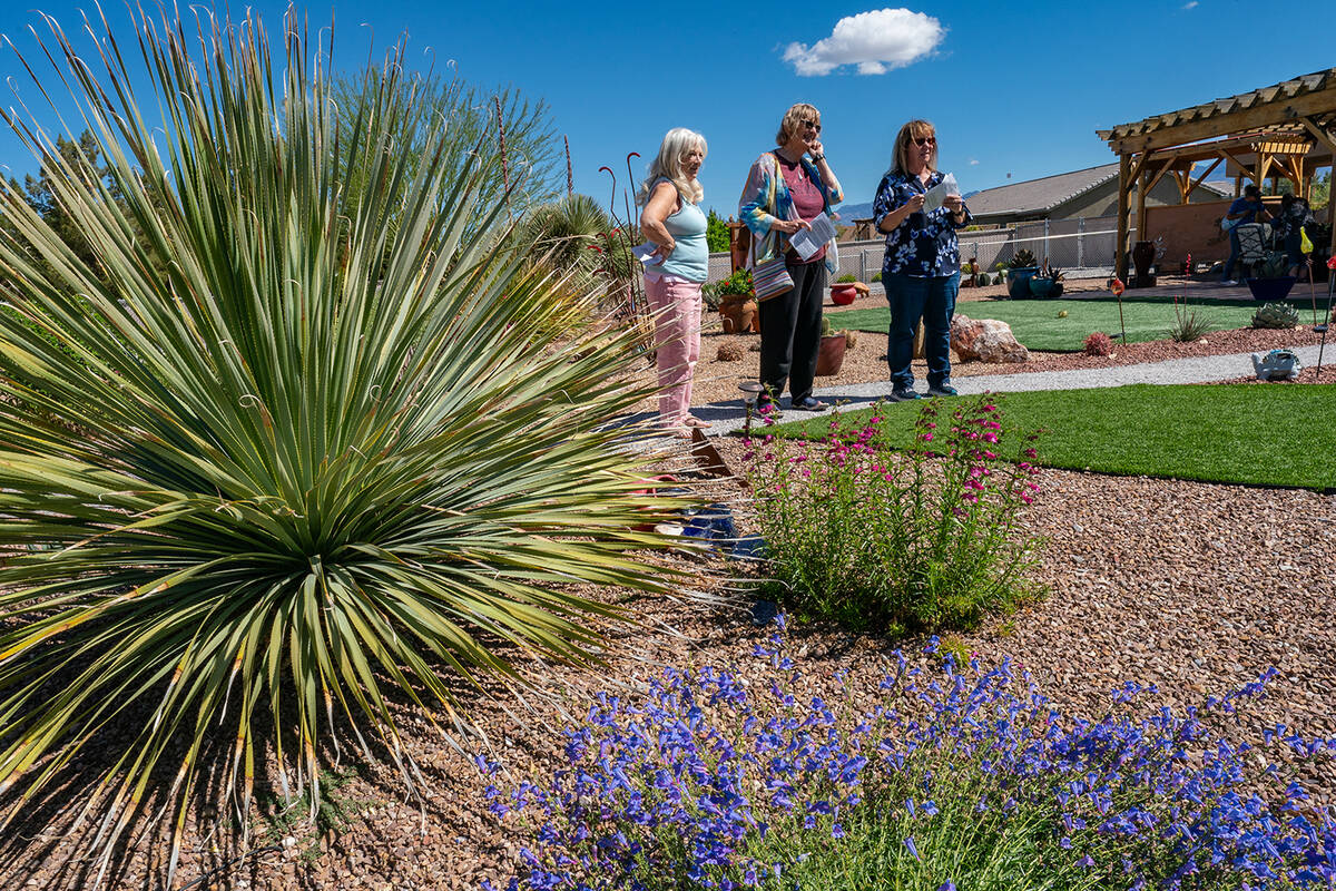 Attendees of the Pahrump Valley Garden Club’s 18th Annual Self-Guided Landscape Tour will see ...