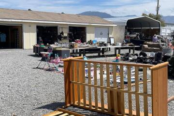 The Nevada Outreach Training Organization provides many programs and services for the community ...