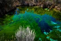 The Nye County Commission will send a letter to Nevada and federal officials to express the nee ...