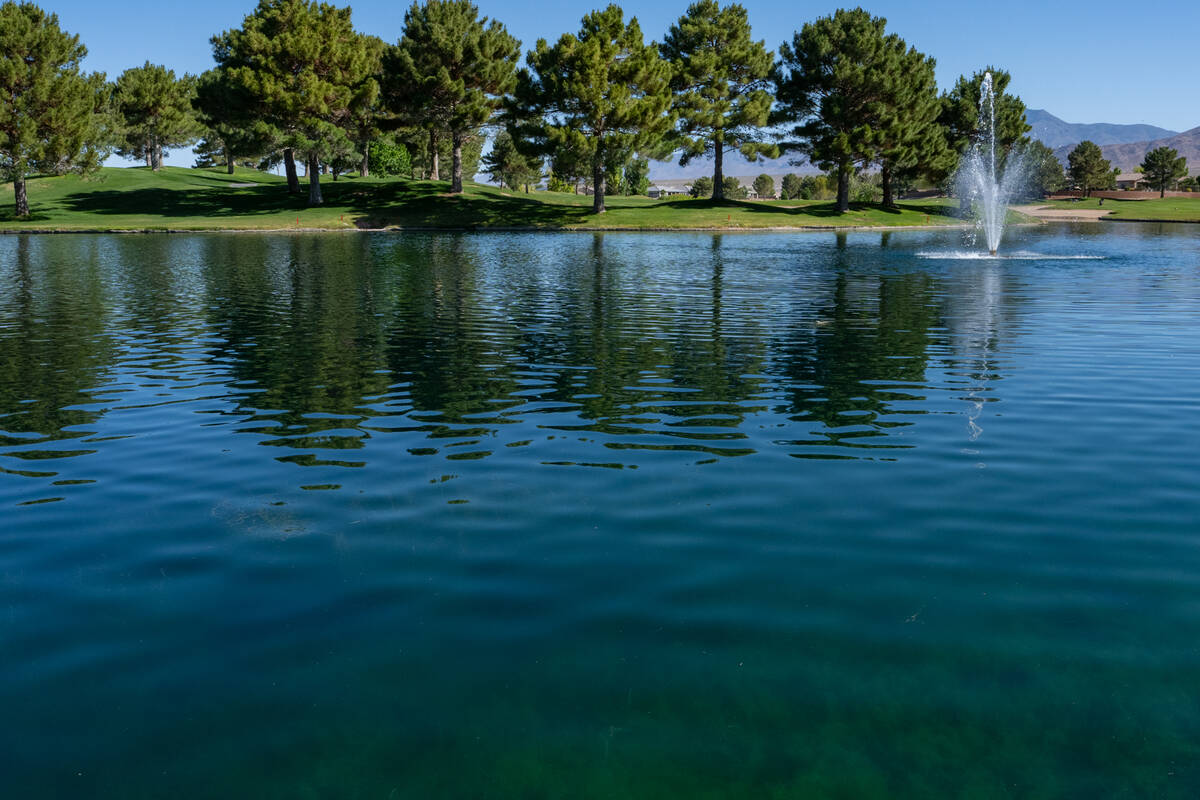 Mountain Falls Golf Club in Pahrump hosted thel 2026 Class 3A Southern Regional tournament. (Jo ...