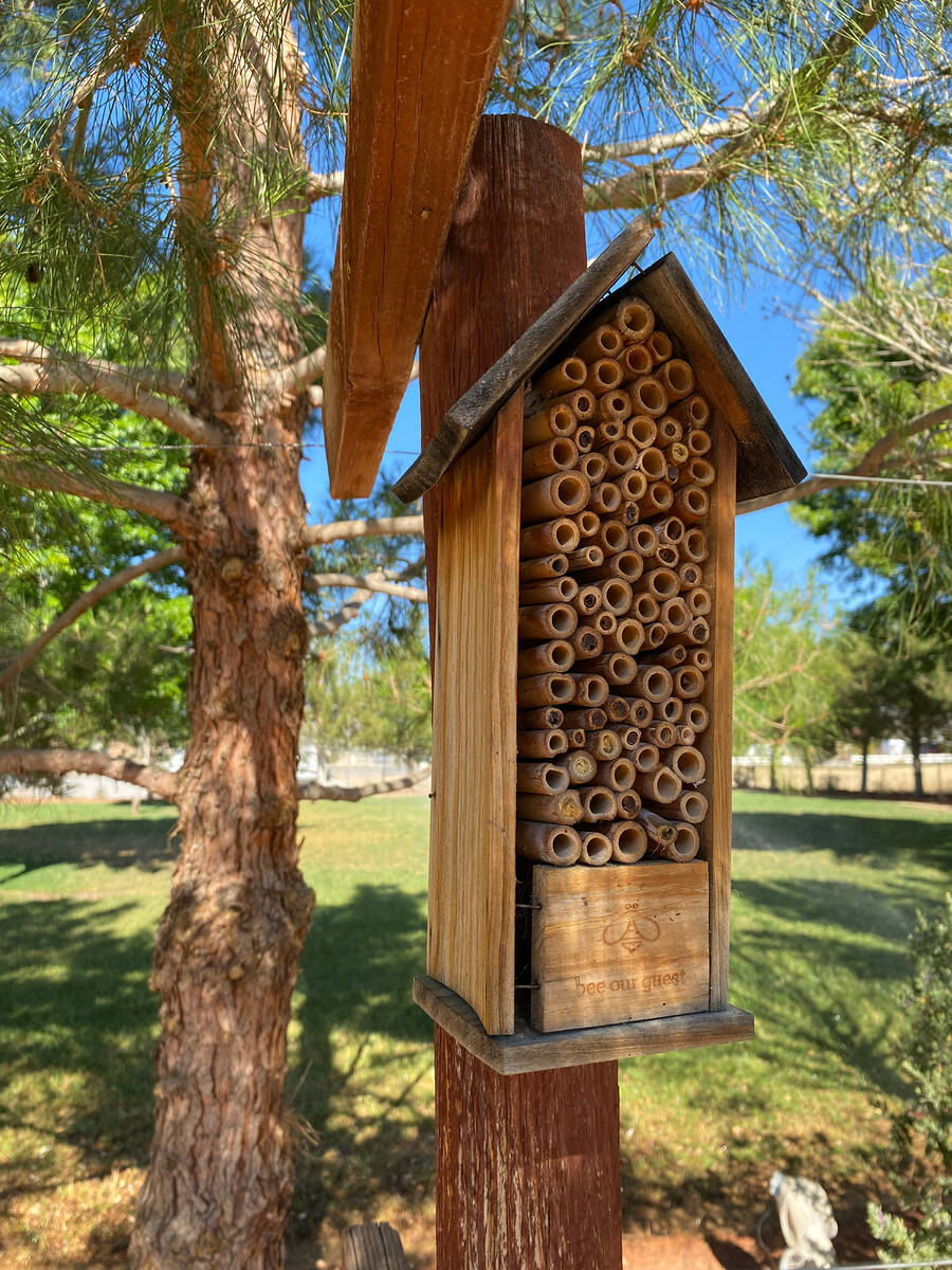 The Pahrump Valley Garden Club's 18th Annual Landscape Tour. (Robin Hebrock/Pahrump Valley Times)