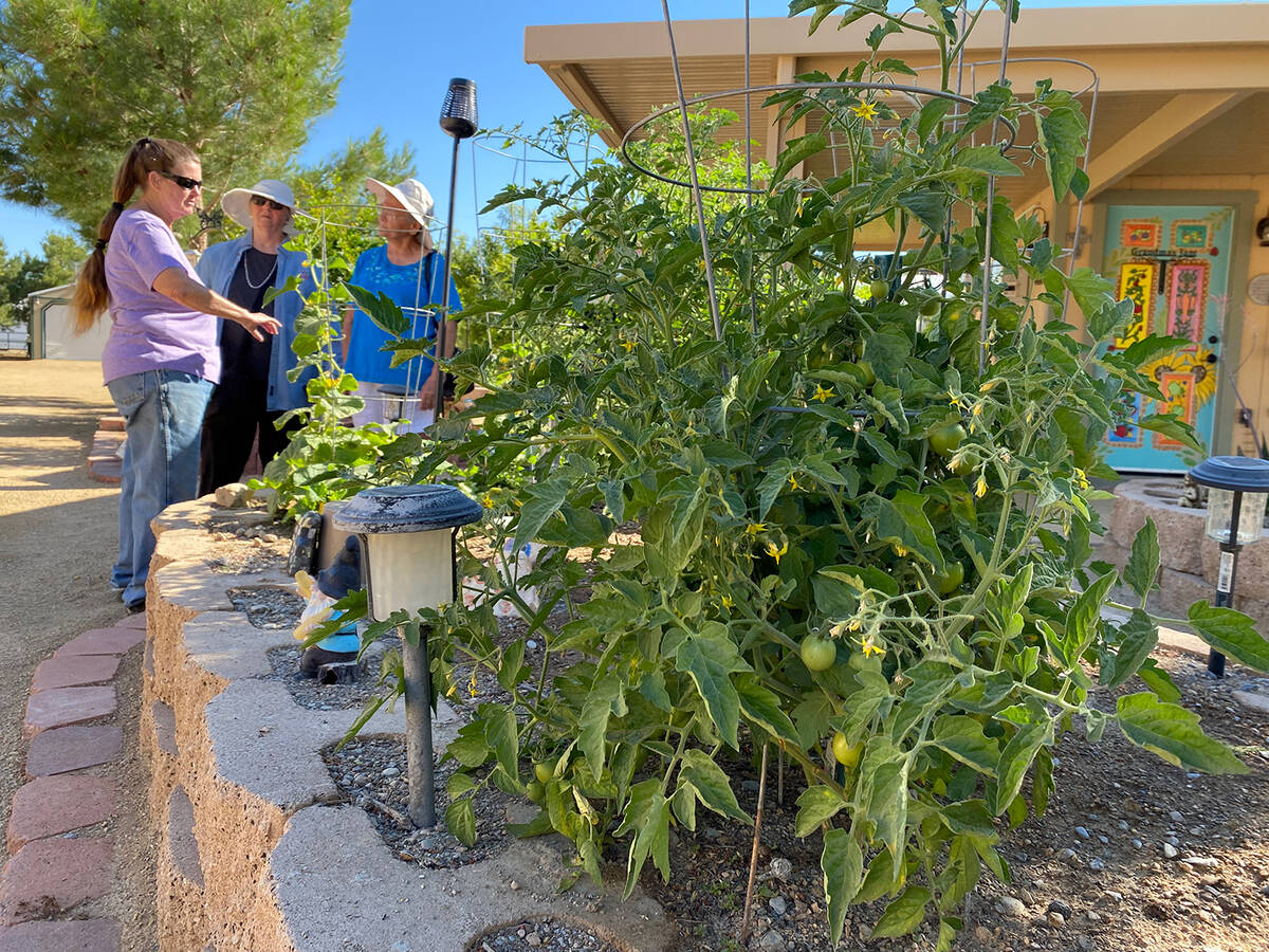 The Pahrump Valley Garden Club's 18th Annual Landscape Tour. (Robin Hebrock/Pahrump Valley Times)